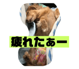 109778874