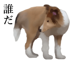 10977890