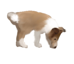 10977893
