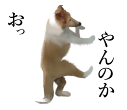 10977904
