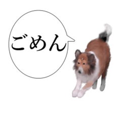 10977909