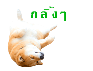 ลายที่ 10