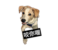 109903750