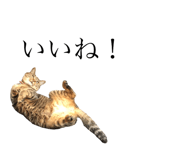 110002541