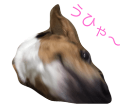 110015046
