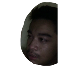 110026254
