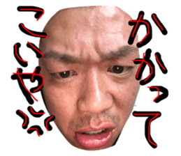 110032392