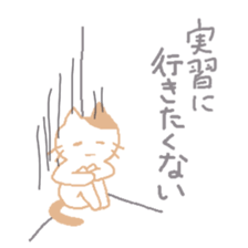 11010019