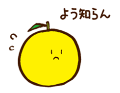 1102034