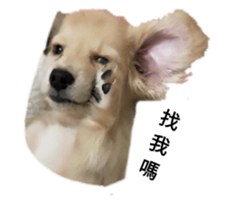 110242111