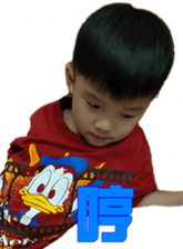110271311