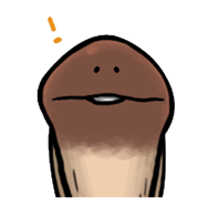 เห็ด Nameko รูปที่ 20