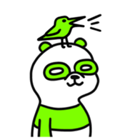 11032032