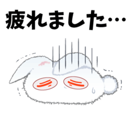 11040497