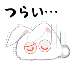 11040504