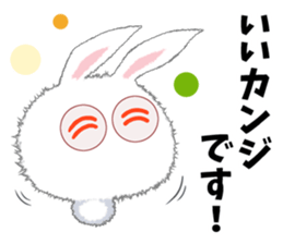 11040506