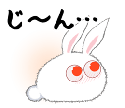 11040510