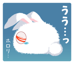 11040511