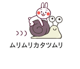 11053247