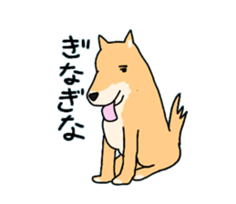11057566