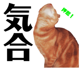 110671047