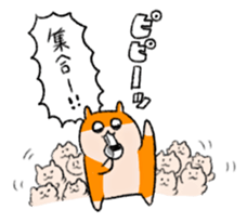 11071508