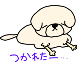 11083900