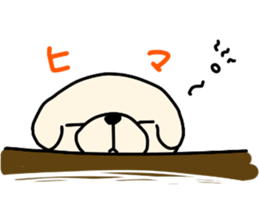 11083907