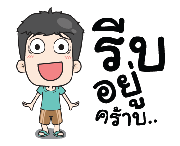 ลายที่ 13