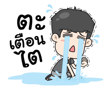 ลายที่ 13