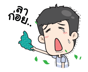 ลายที่ 47