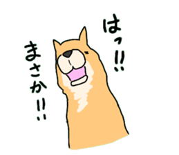 11101545