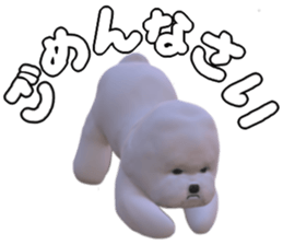 111085054