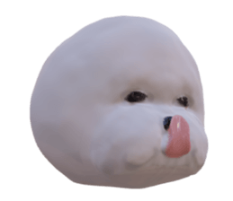 111085057