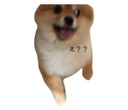 111239466
