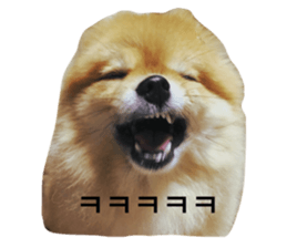 111239471