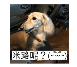 111276738