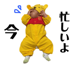 111306312