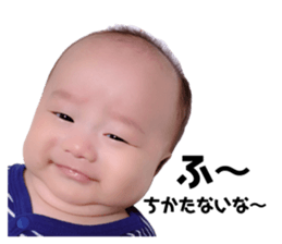 111308264