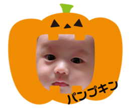 111308283
