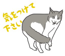 11139763