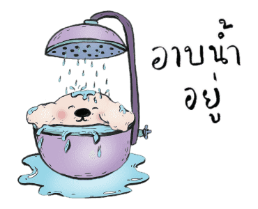 ลายที่ 17