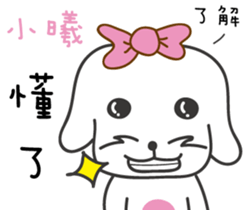 111476781