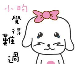 111554311