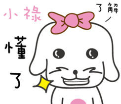 111580797