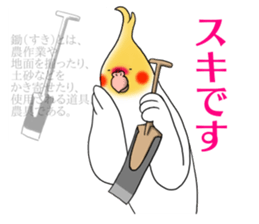 11164300