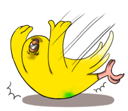 11164313