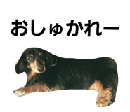 111676953
