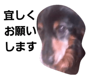 111676962