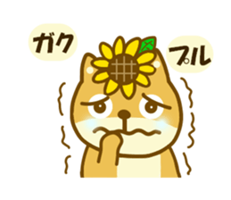 11171860